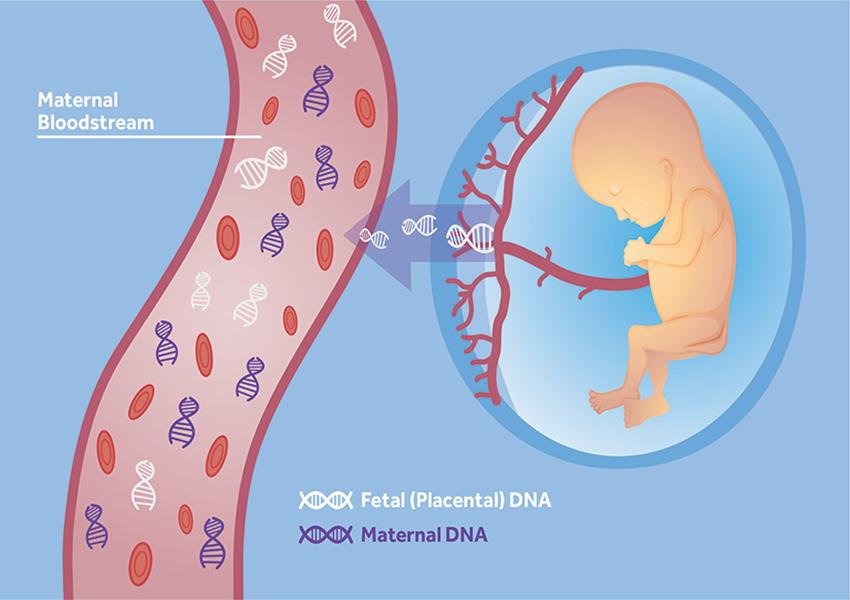 All about NIPT- Non Invasive prenatal testing.